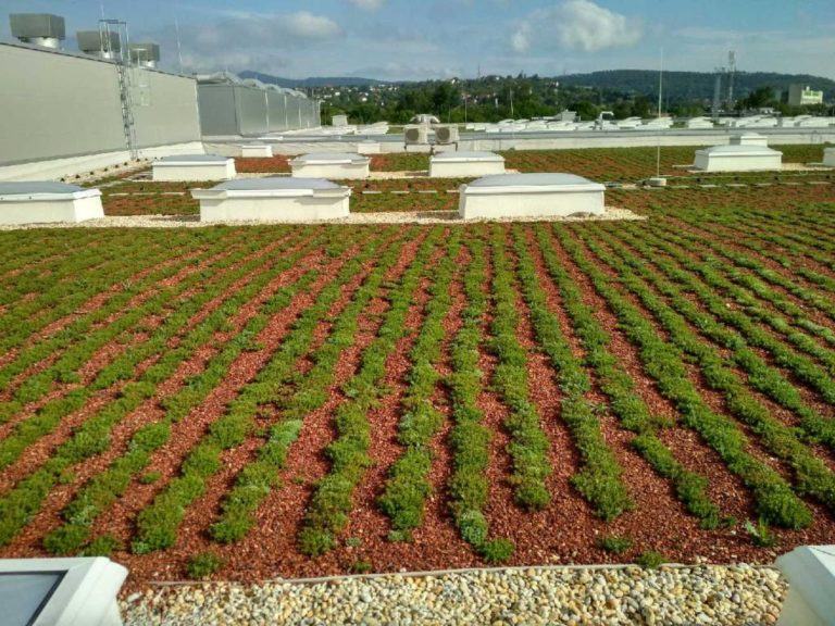 Zöldtetőépítés - Budapest Ipari Csarnok