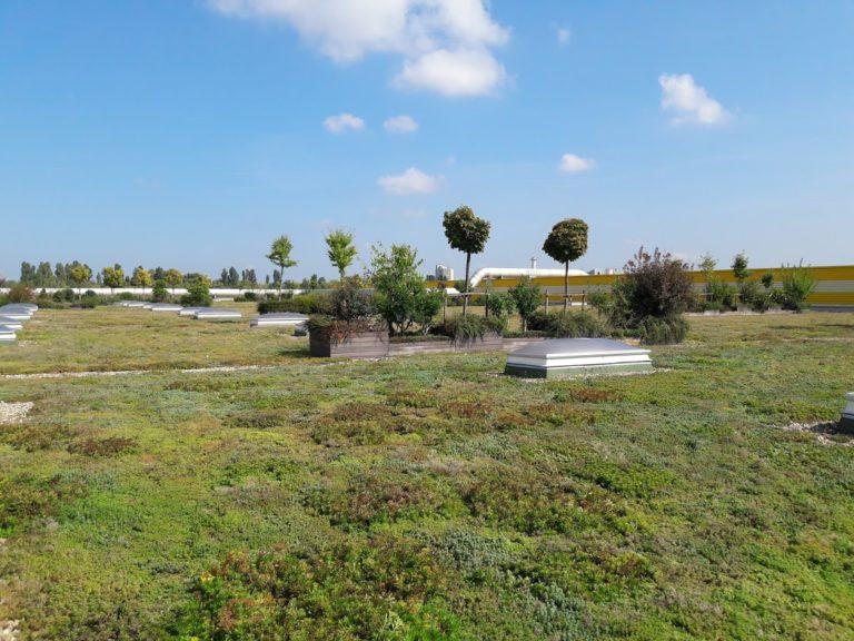 Egy plusz érv az extenzív zöldtetők mellett