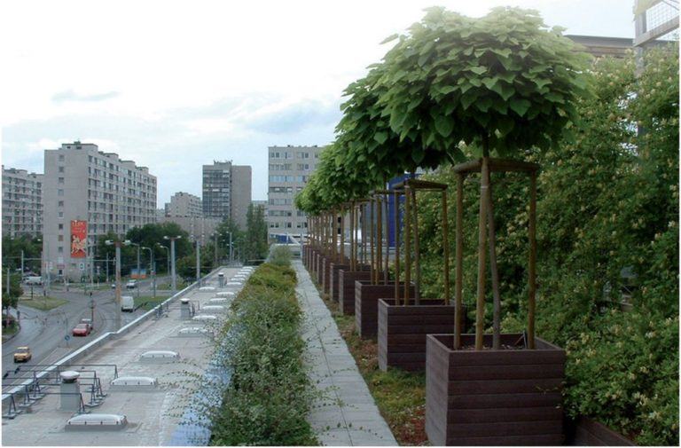 Ökológia – zöldtetőépítés